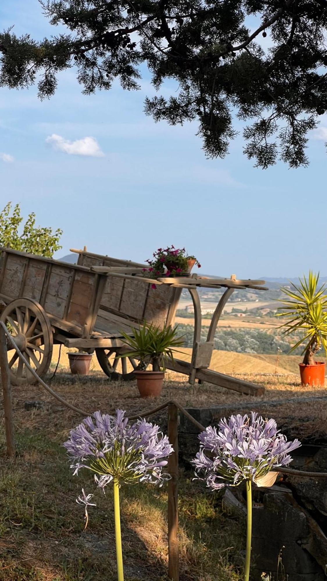 וולטרה Agriturismo Casallario מראה חיצוני תמונה